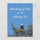 Search for birdwatching vertical postcards Nature