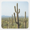 Search for saguaro cactus stickers Outdoors