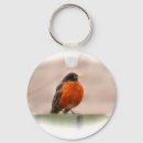 Search for ornithology key rings Animal