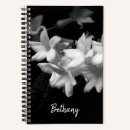 Search for jasmin photography Nature