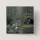 Search for smokies badges Forest