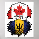 Search for barbados posters Barbadian