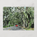 Search for avenue postcards Landscape