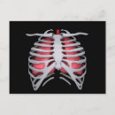 Search for rib postcards Medicine