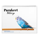 Search for budgie bird office supplies Parakeet