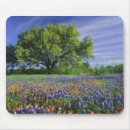 Search for paintbrush mouse mats Meadow