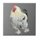 Search for plumage tiles Rooster