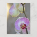 Search for expression vertical postcards Nature
