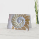 Search for nautilus cards Spiral