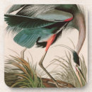 Search for john james audubon coasters Birds of america