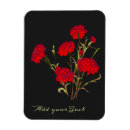 Search for carnations magnets Elegant