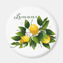 Search for lemon magnets Garden