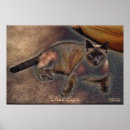 Search for kitty love art Kitten
