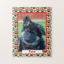 Search for dog paws photography Pet photo