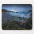 Search for oregon state mouse mats Nature
