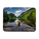 Search for adirondack magnets Forest