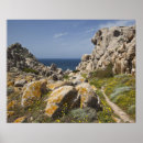 Search for sardinia posters Mediterranean sea
