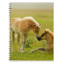Search for horse pictures notebooks Nature