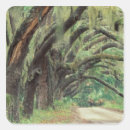Search for north america stickers Foliage
