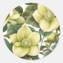 Search for hellebore stickers Botanical