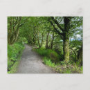 Search for footpath postcards Woodland