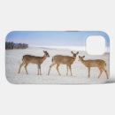 Search for young animal iphone cases Fawn