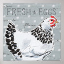 Search for chicken egg posters Chickens