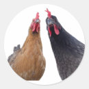 Search for chicken hen bird stickers Funny