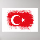 Search for turkish flag posters Country