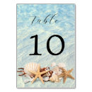Search for seashells table cards Tropical
