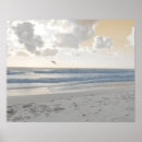 Search for serenity posters Photography