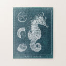 Search for seahorse puzzles Coastal
