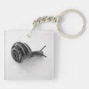 Search for snail key rings Animal