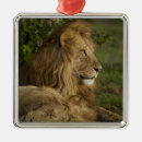 Search for mcdonalds christmas tree decorations Mary ann mcdonald