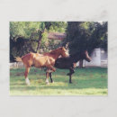 Search for shadowed postcards Field