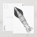 Search for squid postcards Illustration