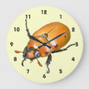 Search for bug pictures art Entomology