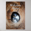 Search for two birds posters Photography