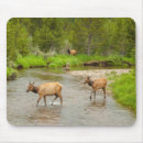 Search for rocky mountain national park mouse mats Gordon illg