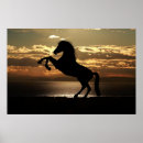 Search for filly art Animal