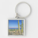 Search for mulege Blue