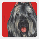 Search for flanders stickers Bouvier