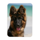 Search for deutscher magnets Bob and pam langrish