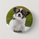 Search for chihuahua badges Cute