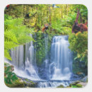 Search for rainforest stickers Frogs