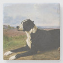 Search for labrador coasters Doggy