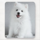 Search for spitz mouse mats Cute