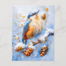 Search for nuthatch postcards Nature