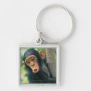 Search for chimpanzees key rings Nature
