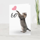 Search for playful cards Cat